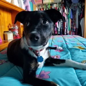 Meet your Posher, Michelle